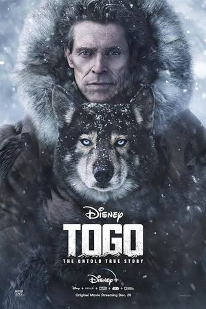 Togo key art